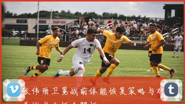 张伟丽卫冕战前体能恢复策略与对手战术分析全解析